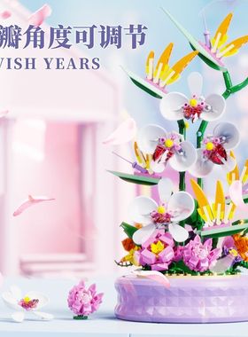 蝴蝶兰旋转音乐盒轻奢年华桌面摆件潮玩益智拼装diy积木玩具D1005