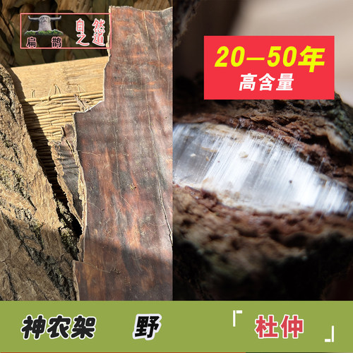 野生杜仲皮天然神农架药材