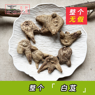 山皇草集 三叉紫花白芨紫兰苞舌兰连及草可打粉滋补药材100克包邮