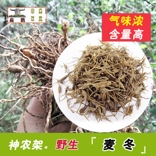 纯野生麦冬麦冬神农架野生药材