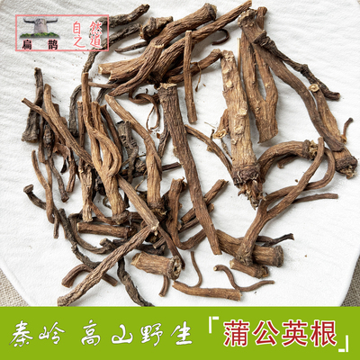 湖北药材肿野生地丁蒲公英根