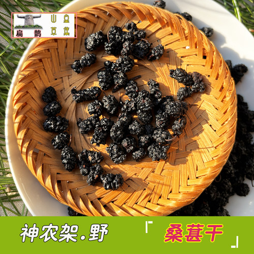 高山桑葚干药材农家采摘天然