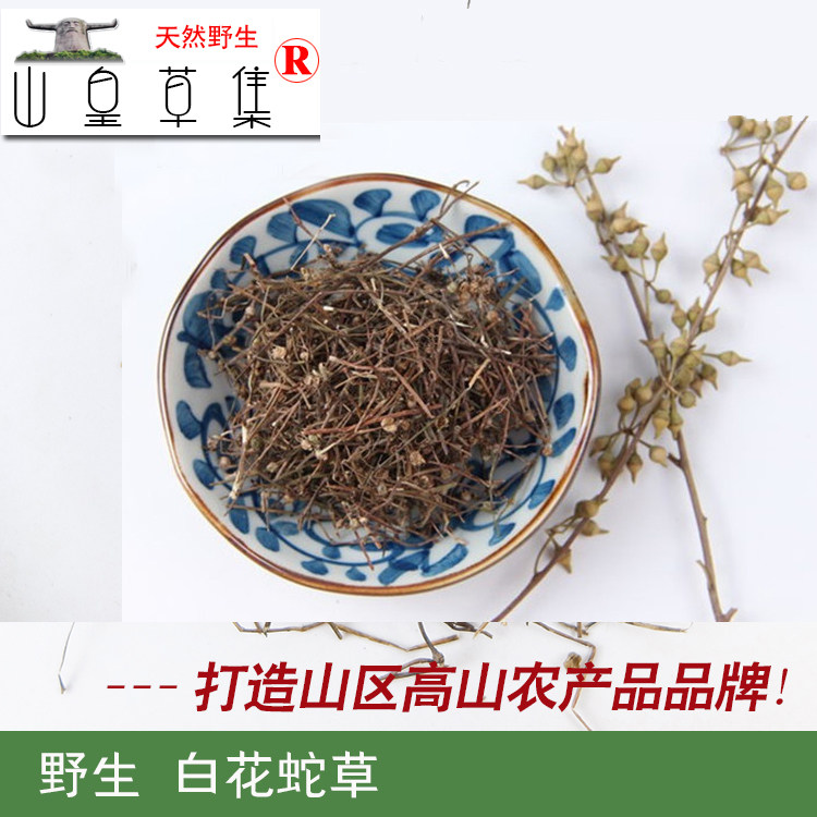 神农架 野生白花蛇草 蛇舌草尖刀草龙舌草药材250克 2件包邮