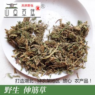 2件 山皇草集 伸筋草大伸筋悬崖草药利关节250克 费 神农架野生 免邮