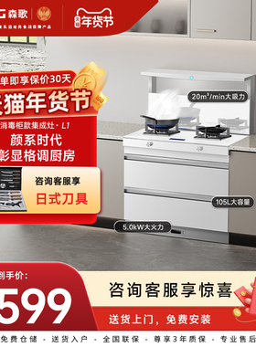 Seng/森歌 L1海豚消毒柜集成灶家用一体灶白色抽油烟机一体柜