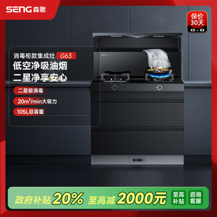 Seng JJZT G63集成灶一體灶側(cè)吸式 油煙機燃?xì)庠钤罹呦竟?森歌