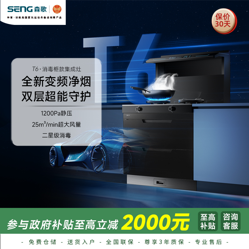 政府以旧换新补贴20%森歌T6