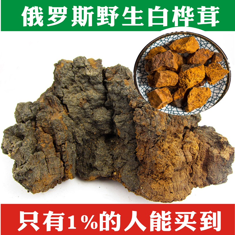 桦树茸野生正品孔菌250g天然