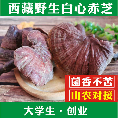 灵芝 野生灵芝 西藏白心赤灵芝 赤芝整枝 野生赤芝 白心赤芝100克