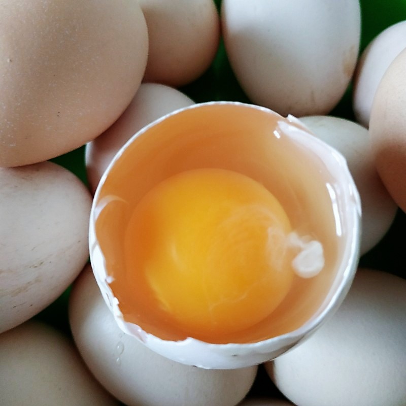 正宗农村土鸡蛋农家散养新鲜农家食五谷孕妇柴鸡蛋笨鸡蛋30枚包邮