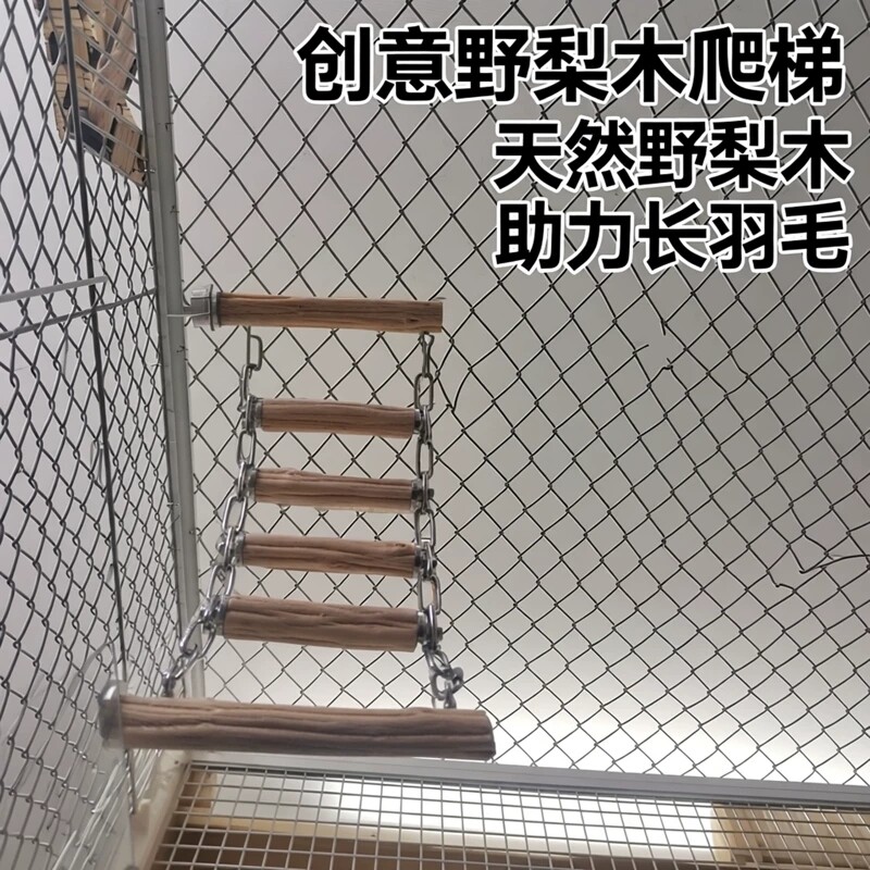鹦鹉爬梯笼内攀爬梯野梨木爬梯笼内创意饰品