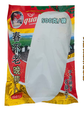 迟熟不空心春不老晚萝卜种子厂价