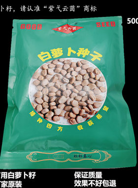 紫弋云茵白萝卜种子苗用厂家原装