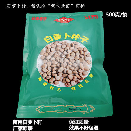 紫弋云茵苗用白萝卜种子莱菔子土培水培四季厂家原装阳台室内按斤