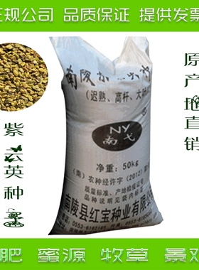 紫云英种子绿肥果园牧草红花草蜜源食用景观草坪草子产地直销包邮