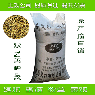 紫云英种子红花草子原厂地直销