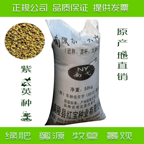 紫云英种子绿肥果园牧草红花草蜜源食用景观草坪草子产地直销包邮 - 封面