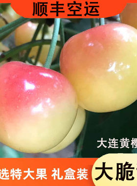 大连脆甜黄樱桃7j黄车厘子顺丰
