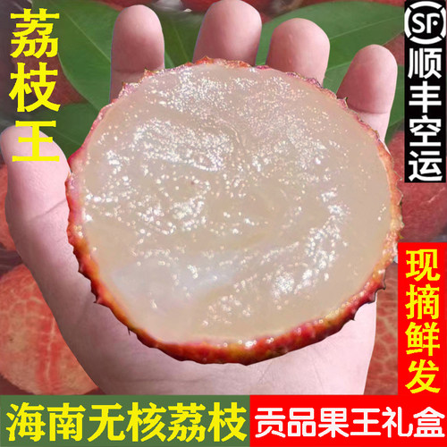 海南荔枝王荔枝新鲜现摘礼盒顺丰