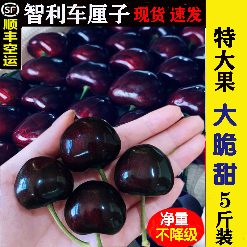 智利车厘子5j4j新鲜水果礼盒包邮