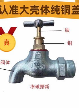 铁水龙头真玛钢防冻水龙头大流量铸铁水龙头农村户外水龙头