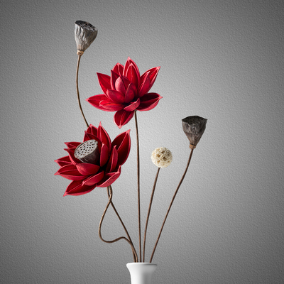 干花混搭装饰摆件莲蓬天然禅意