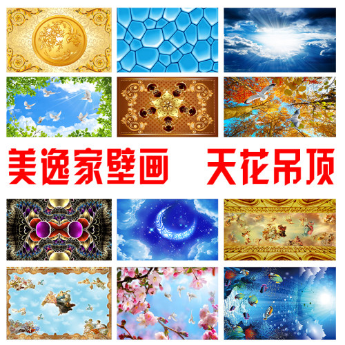 美逸家壁画天花吊顶壁画3D5D8D壁画穹顶壁画无缝壁画顶棚壁画 - 封面