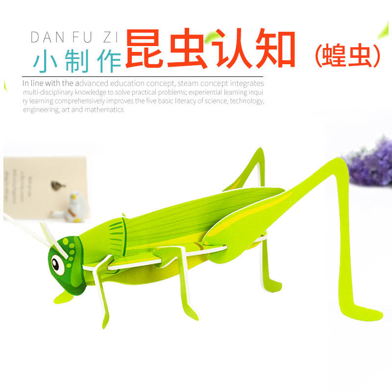 学生科学实验昆虫认知 diy科技小制作材料儿童3D蝗虫拼图科普模型,玩具/童车/益智/积木/模型,科学实验,淘宝优惠券,粉丝福利购,淘宝优惠卷