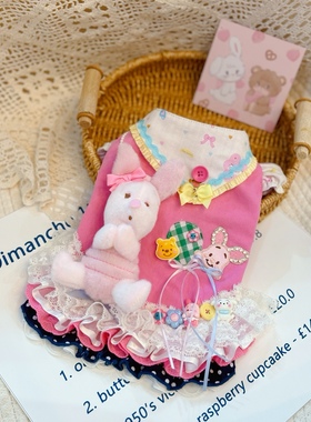 原创手工定制宠物衣服狗狗猫咪小猪皮杰蓬蓬裙泰迪约克夏马尔济斯