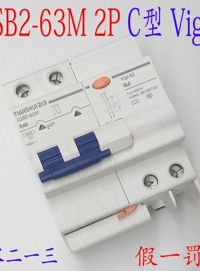 原装正品天水二一三GSB2-63M 2P C25A+GSB2L-2P漏电断路器 Vigi+
