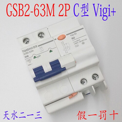 原装正品天水二一三GSB2-63M 2P C25A+GSB2L-2P漏电断路器 Vigi+