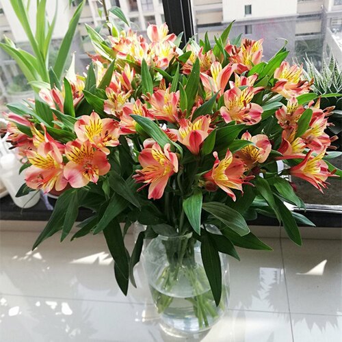 水仙百合六初花云南基地直发家庭插花客厅茶几摆设办公室水培瓶插