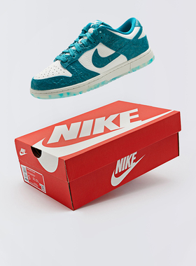 Nike/耐克Dunk Low蓝色海洋女子低帮复古运动休闲鞋DV3029-100