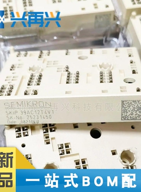 SKIIP39AC12T4V1 MODULE IGBT管/模块 全新正品 原装