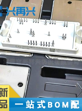 SNXH100M65L4Q2F2P2G MODULE 新能源功率模块 全新正品 原装