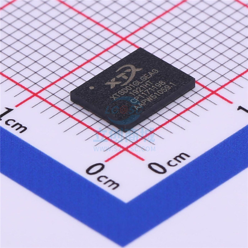 XTSD01GLGEAG XTX/芯天下 LGA8 储存器IC