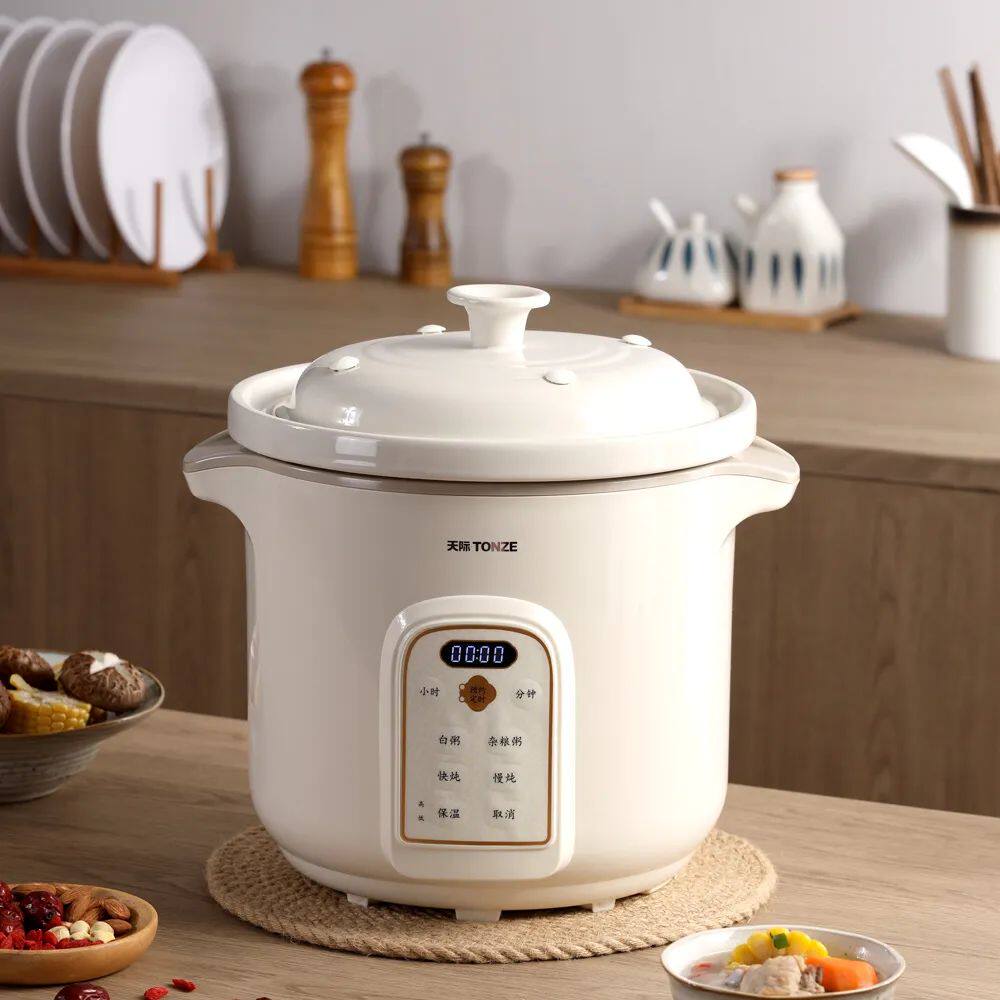 天际电炖锅全自动煮粥锅家用煲汤锅快炖慢炖杂粮粥熬粥大容量预约