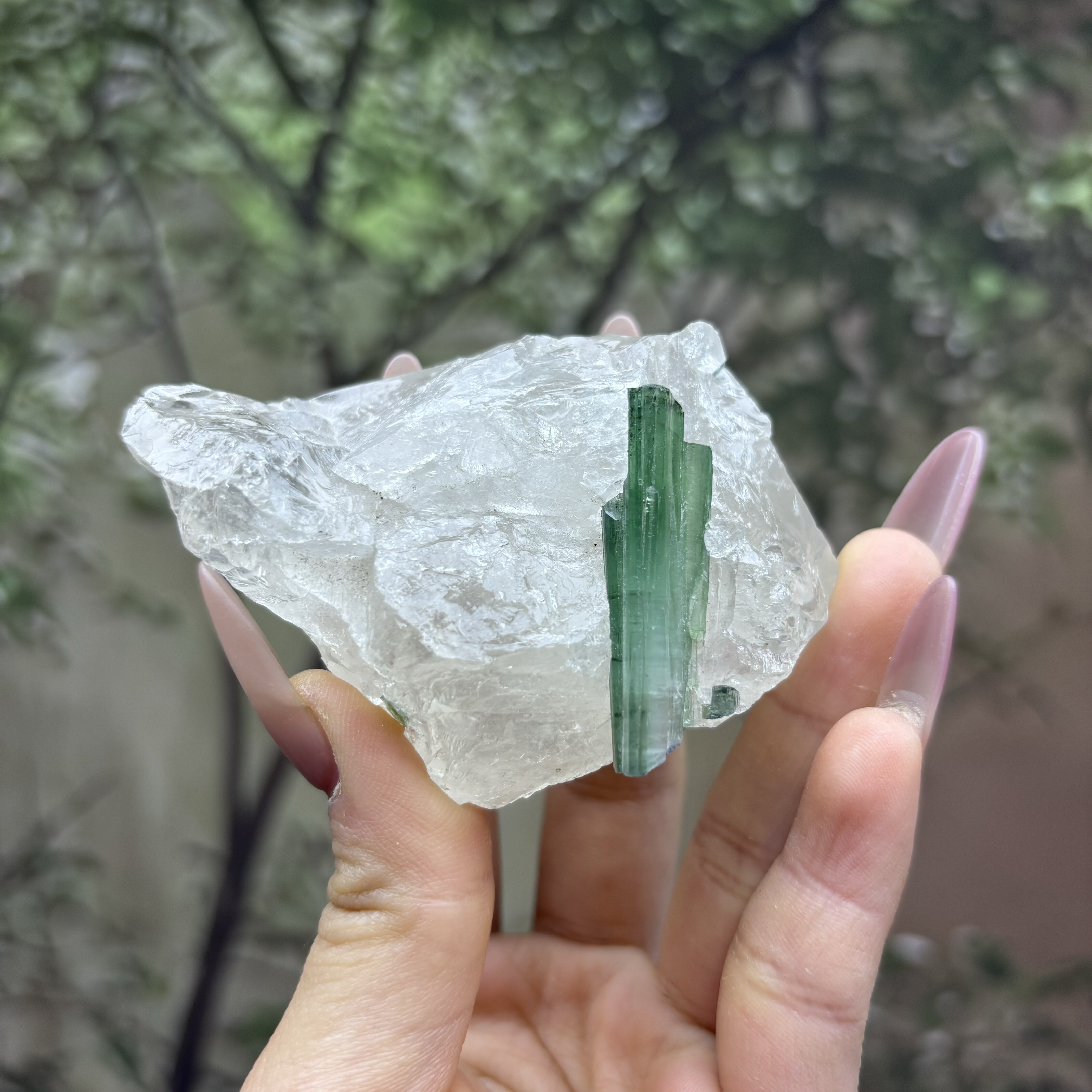 巴基斯坦绿碧玺矿物晶体教学标本奇石头原石摆件水晶收藏品观赏石