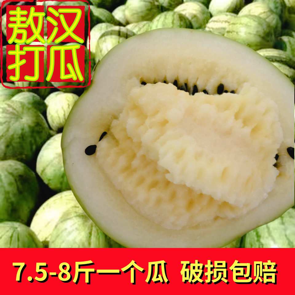 敖汉打瓜赤峰市特非西瓜产应季水果籽瓜7-8.5斤破损补发一箱一个