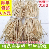 茅根新鲜 野生丝毛根中药材凉茶食品茅草根带皮原生态优质 白茅根