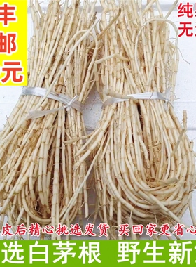 茅根新鲜 野生丝毛根中药材凉茶食品茅草根带皮原生态优质 白茅根