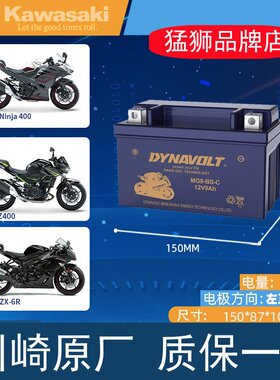 猛狮电池川崎Ninja250SLZ250