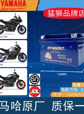 用于雅马哈R6 YZF-R6 TMAX500摩托车电瓶蓄电池YTZ10S GTZ10S-BS