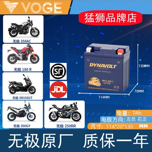 猛狮摩托车电瓶隆鑫无极180rr