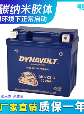 适用比亚乔ZIP100淑女100 BYQ100T-E汤浅摩托车电瓶12V蓄电池