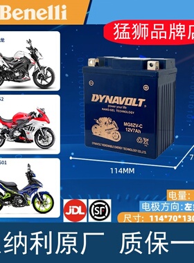 猛狮摩托车电瓶光阳GW250黄龙600赛CT300闪贝纳利12V通用原装DL锂