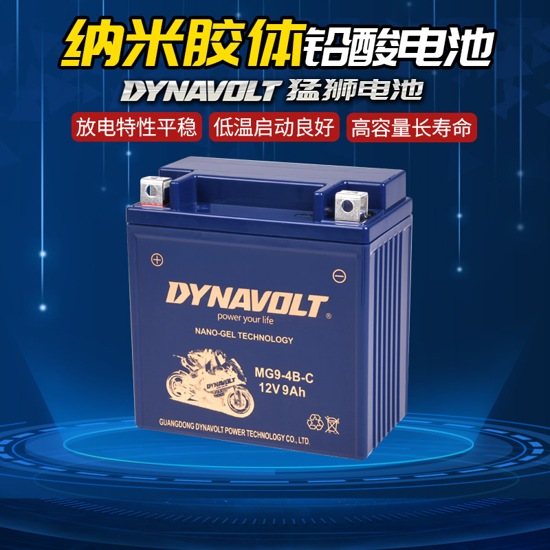 力帆lf250/150/125龙太子小鬼皇马新豪影ck风暴v16摩托车电瓶12v