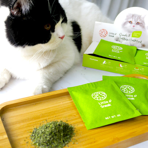 A级天然猫薄荷茶包泡水玩具