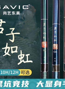 尚艺东美君子如虹鱼竿超轻硬19调8H10H12H黑坑飞磕竞技
