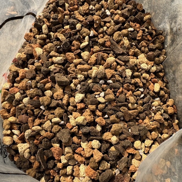 蜜糖家兰花土兰园配方土